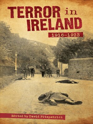 cover image of Terror in Ireland 1916-1923